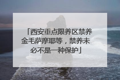 西安重点限养区禁养金毛萨摩耶等，禁养未必不是一种保护